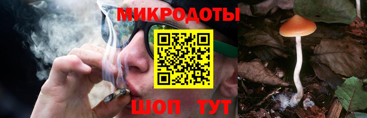 Псилоцибиновые грибы Magic Shrooms Магнитогорск